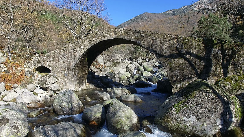 La Puente El Puerto